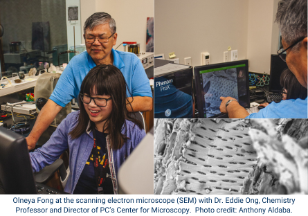 With two Associate degrees from Phoenix College, sixteen-year-old Olneya Fong continues to work with one of her Chemistry mentors, Dr. Eddie Fong, on the scanning electron microscope (SEM) to look at the bark of the ironwood tree. 